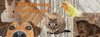 Best Flooring for Dogs, Cats, and Other Pets