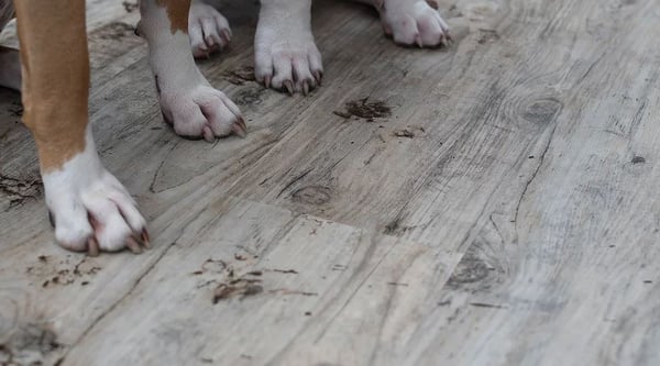 Child and Pet Friendly Flooring. Neither child nor animal can harm the floor. Furthermore, the floor can't harm them.