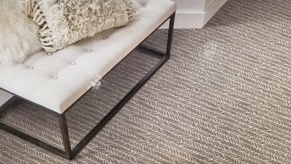 Regularly Vacuum Your Carpet