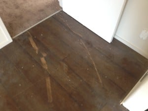 Oil Finished Hardwood Floor Before