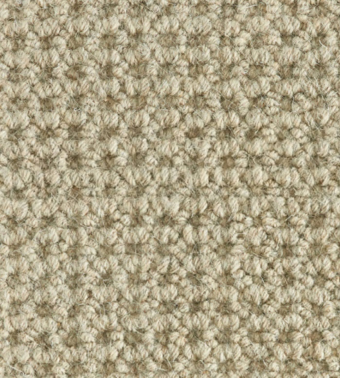Hibernia Carpet, Style Colony