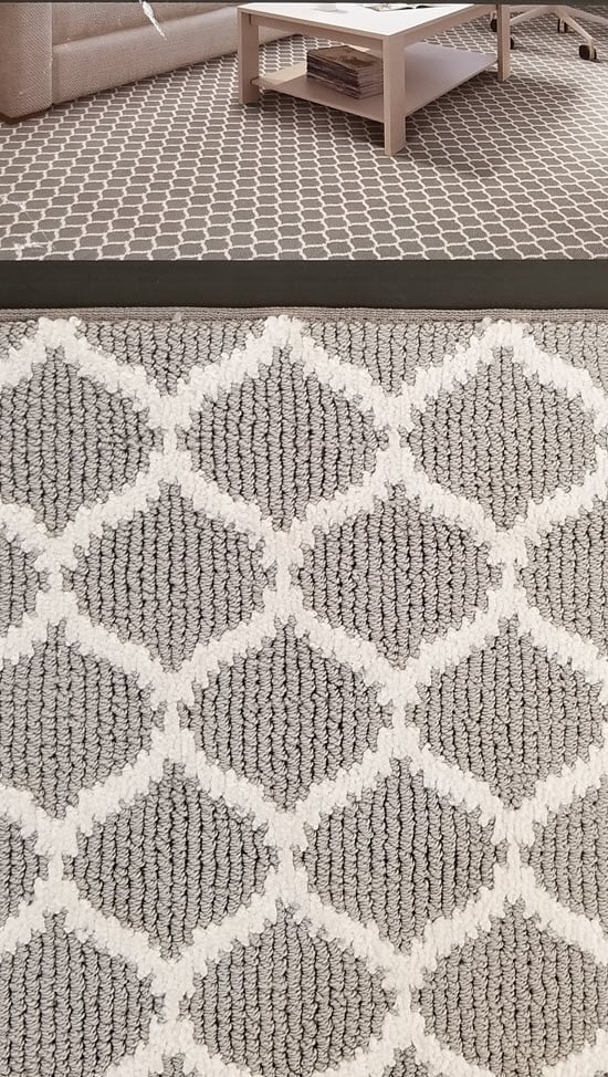 stainmaster pet carpet