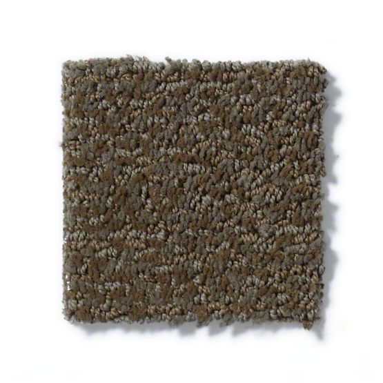 Skippy from Anderson Tuftex Carpet