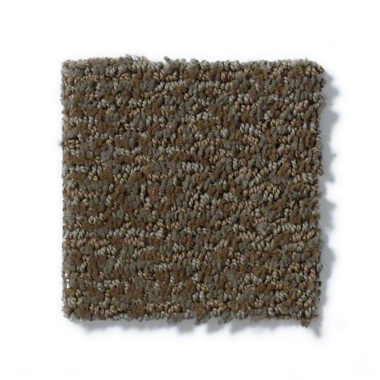 Tuftex Carpet For Style And Pet Protection