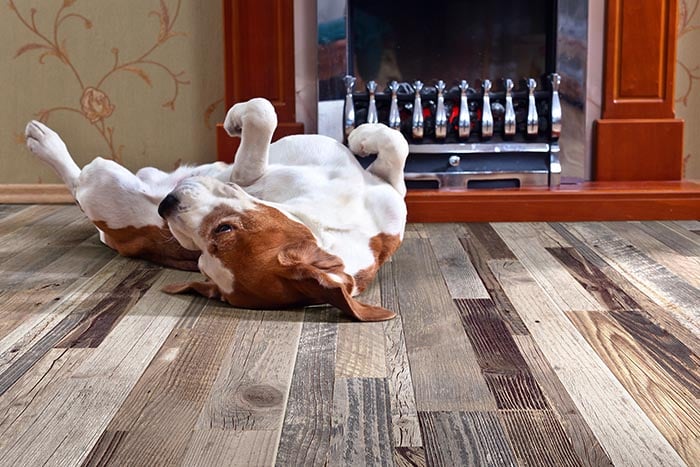 Porcelain Wood Look Tile Vs Luxury, What Is The Best Hardwood Floor For Big Dogs