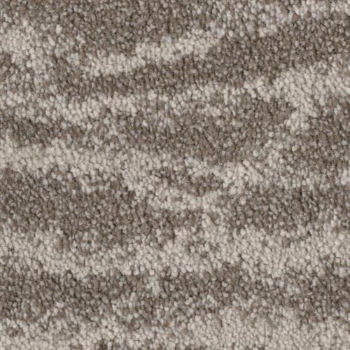 Product Spotlight Soft Solutions Carpet with Microban