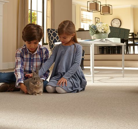 Guideline #4: Explore the Different Types of Carpet Styles Available