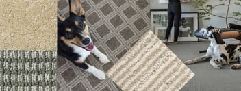 Try Tuftex Carpet for Style and Pet Protection