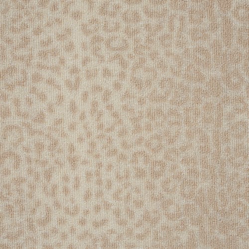  Cheetah Luster from the DOMA carpet collection