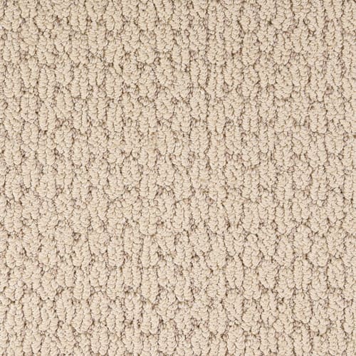 PM-CasaLloma-Carpet-D018-23202