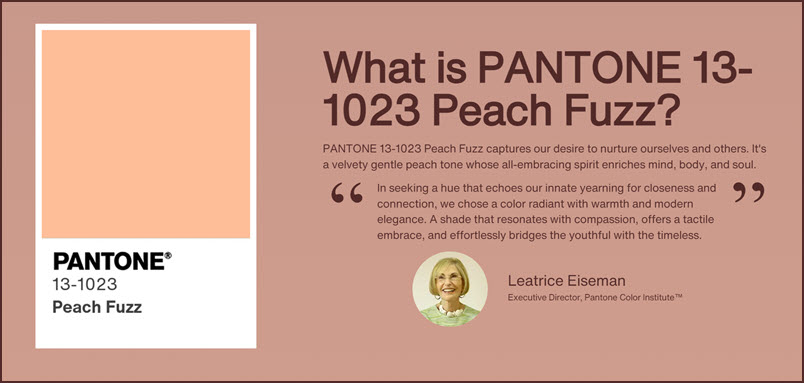 Pantone-2024-Peach-Fuzz
