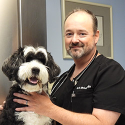 Harlan McLaughlin - Norwalk Animal Hospital