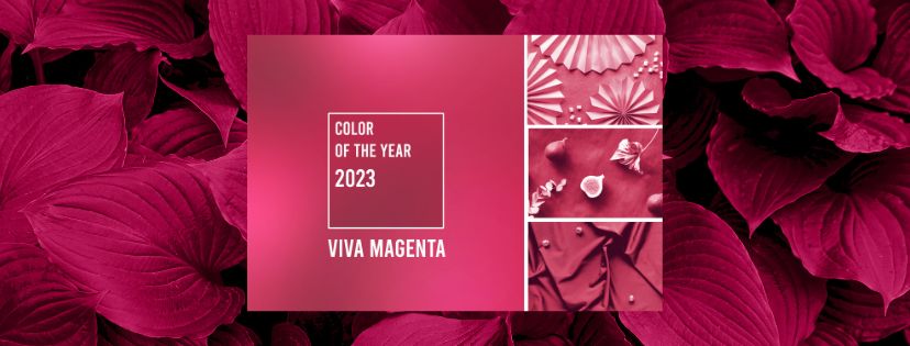 Viva Magenta - Pantone Colour of the Year 2023 Design Tips